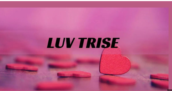 Luv.trise: Redefining Digital Love Connections